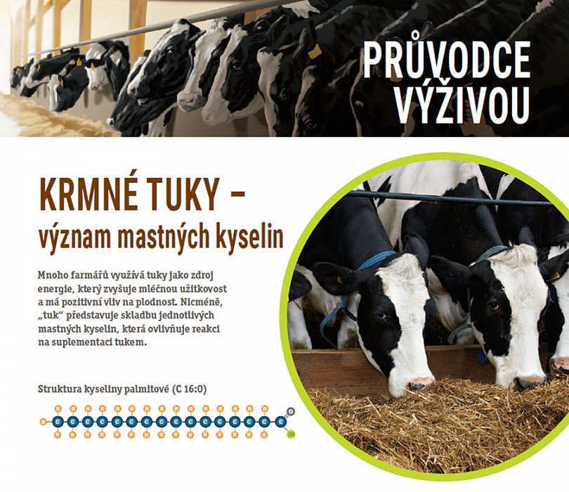 KRMNÉ TUKY - význam mastných kyselin