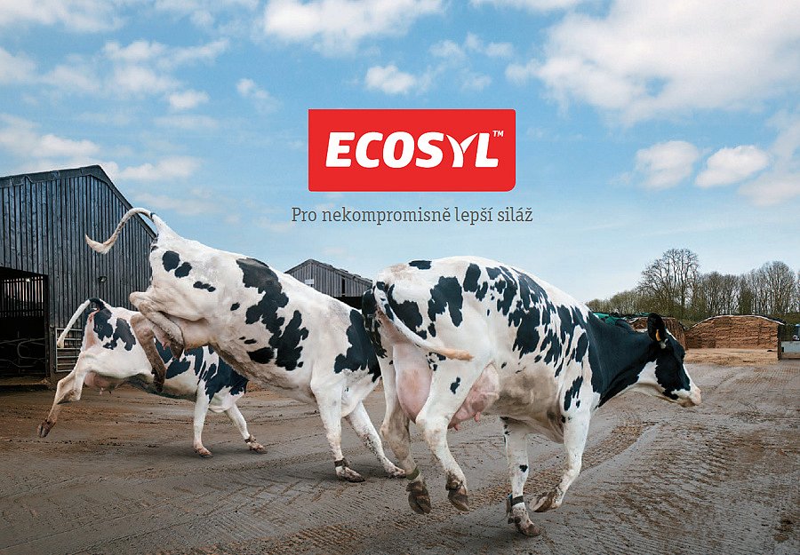 ECOSYL - Pro nekompromisně lepší siláž